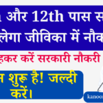 Bihar Jeevika bharti 2025