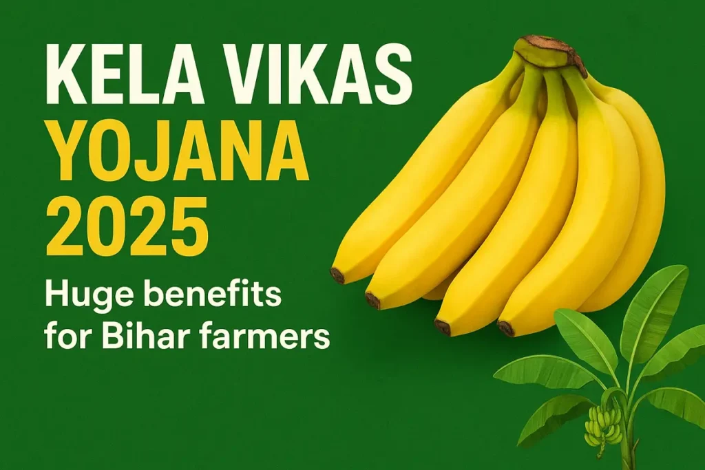 केला विकास योजना 2025
