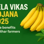 केला विकास योजना 2025